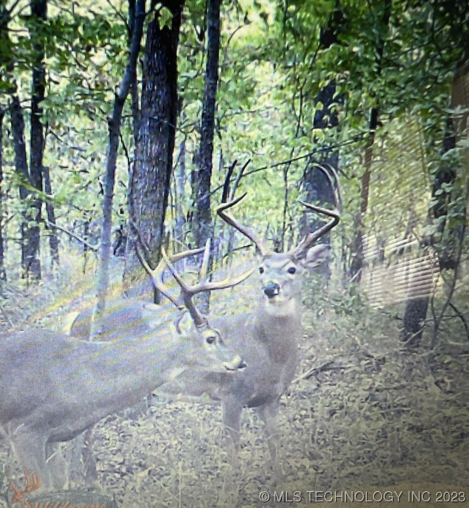 0000 S 4100 Road Property Photo 21