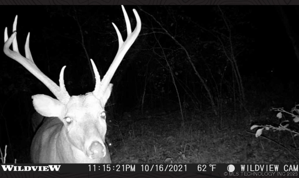 0000 S 4100 Road Property Photo 22