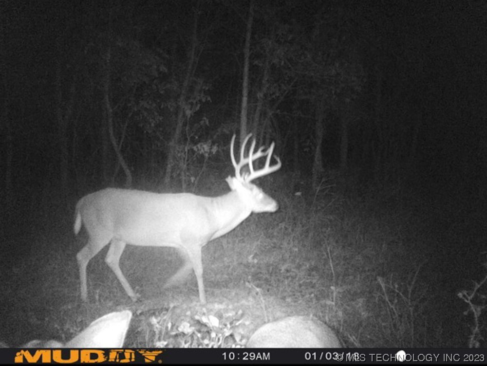 0000 S 4100 Road Property Photo 25