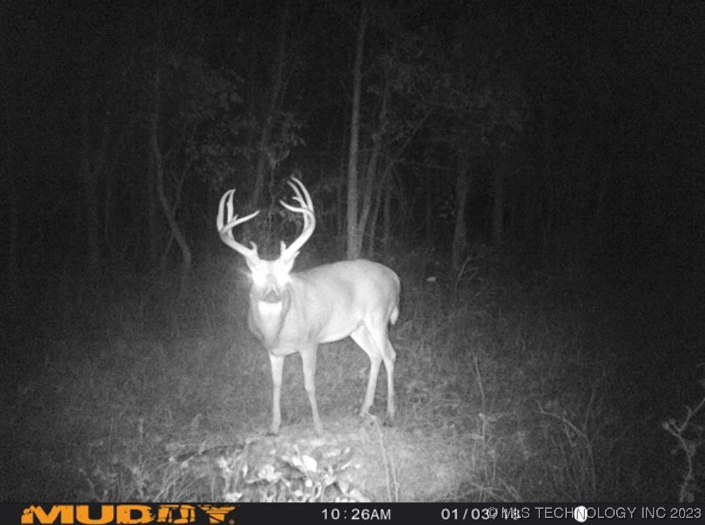 0000 S 4100 Road Property Photo 26