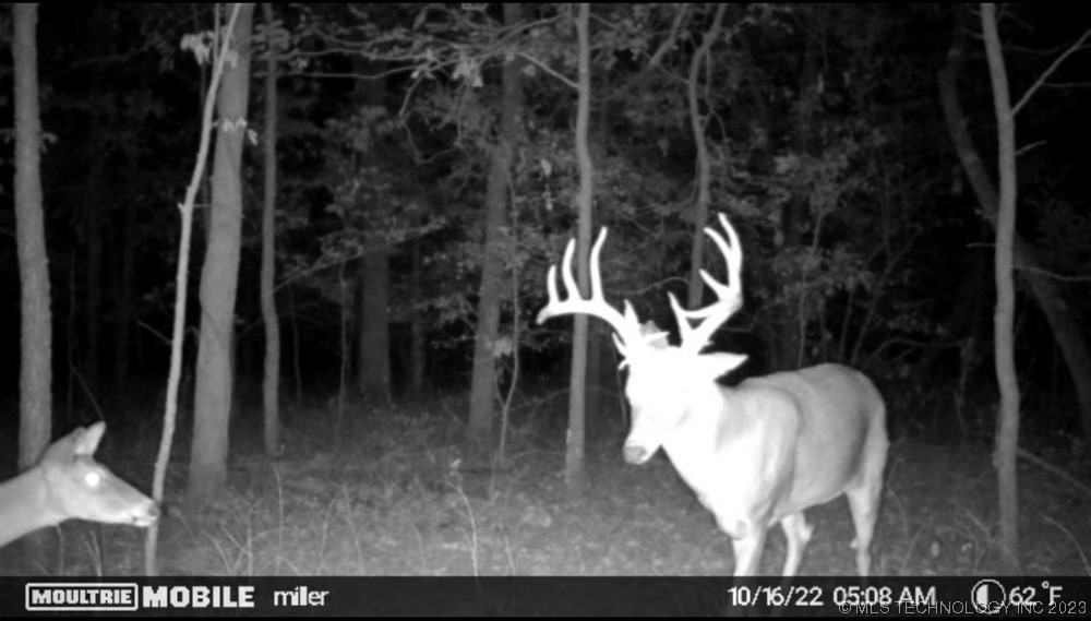 0000 S 4100 Road Property Photo 30