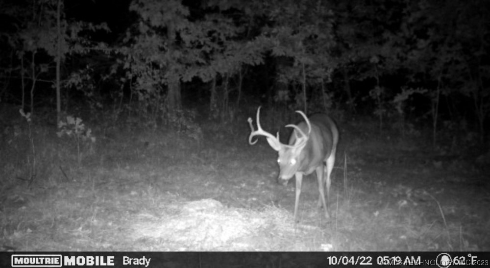 0000 S 4100 Road Property Photo 33