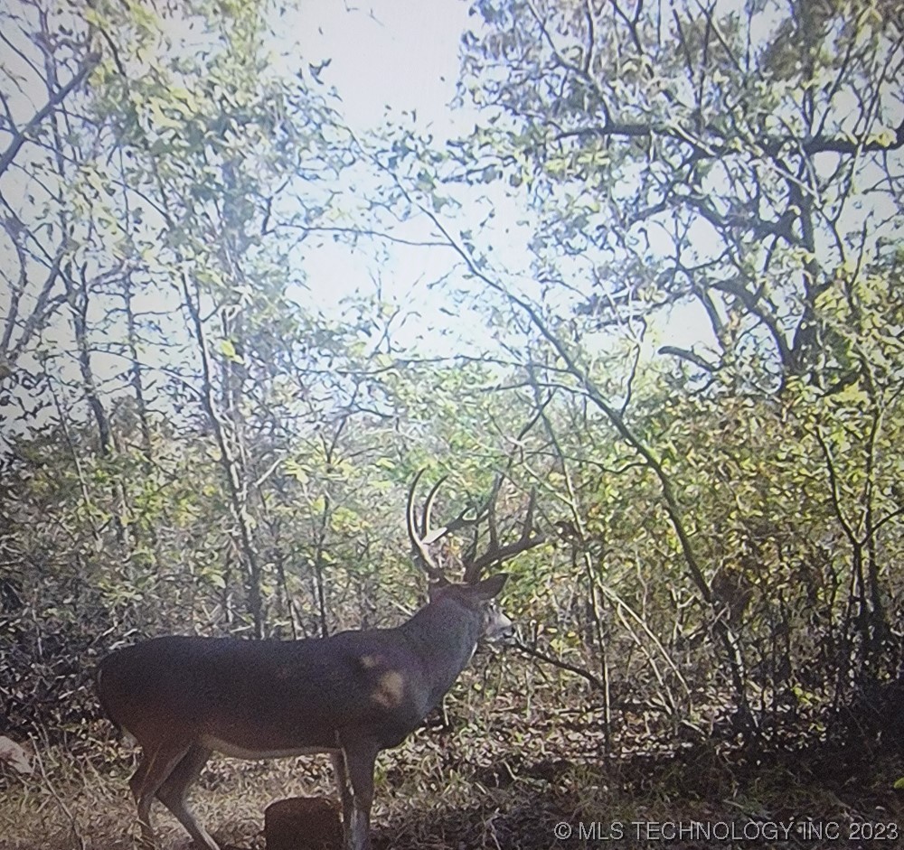 0000 S 4100 Road Property Photo 36