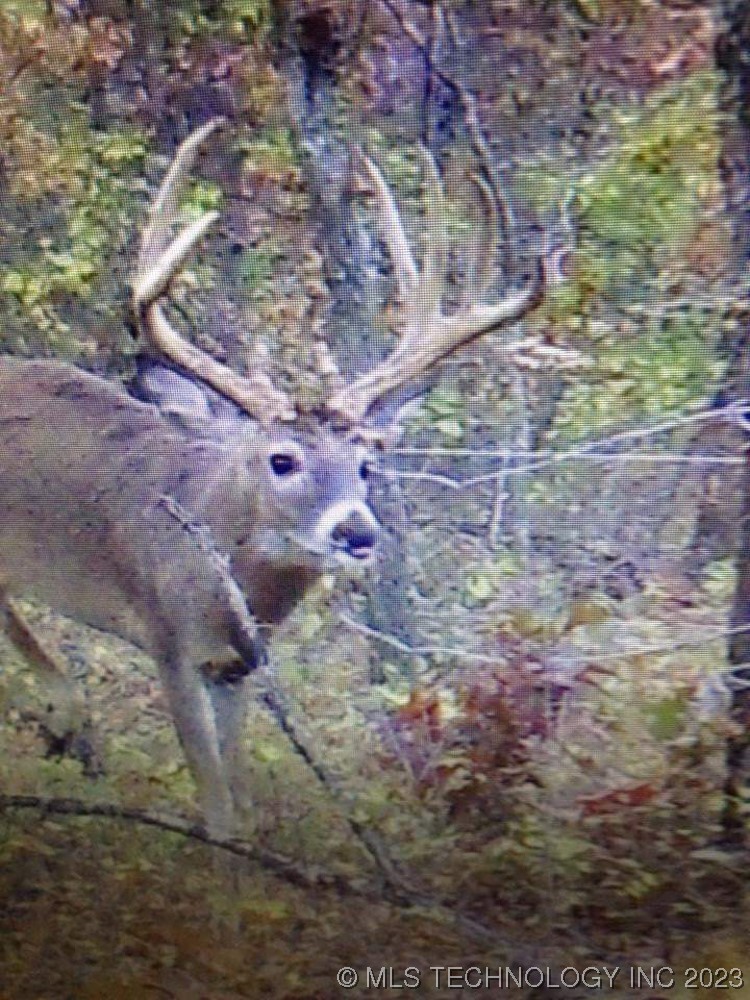 0000 S 4100 Road Property Photo 38