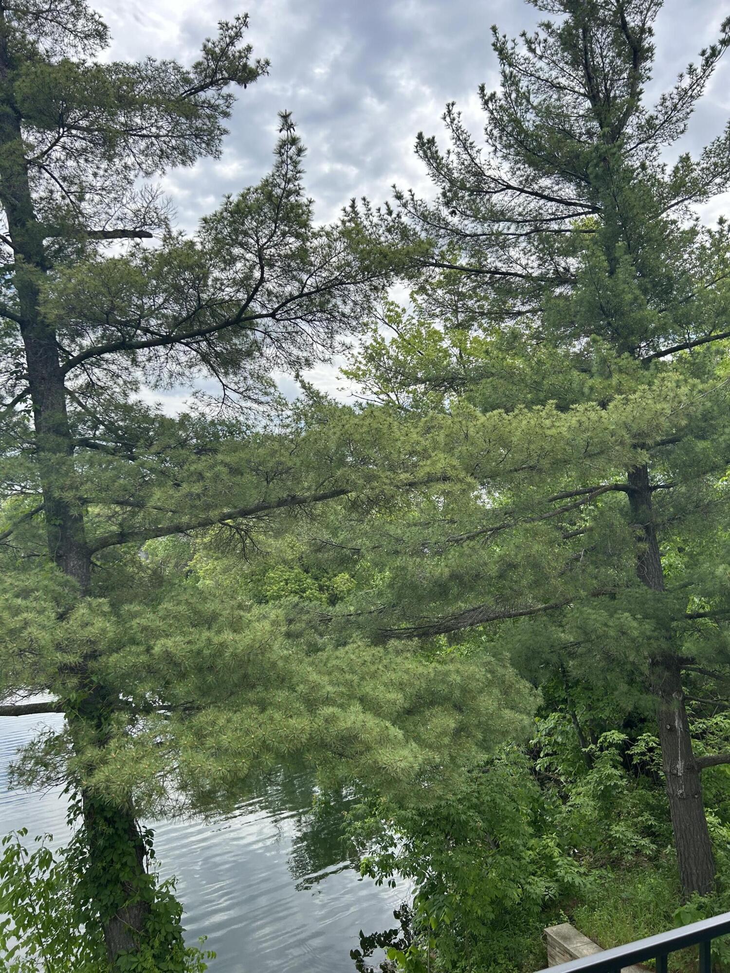 201 1st St E Property Photo 42