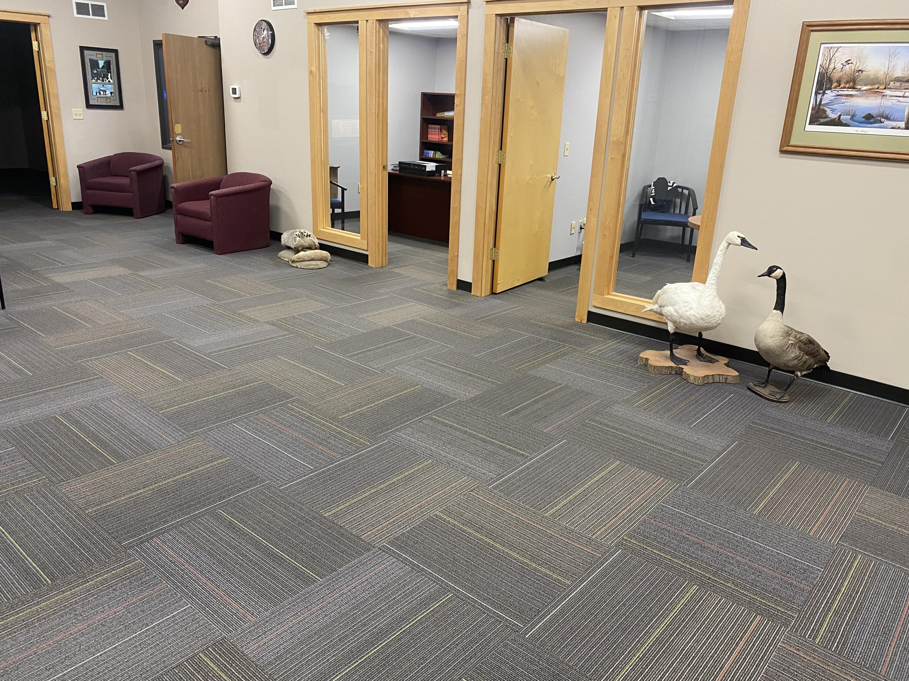 315 5th Street N Property Photo 18