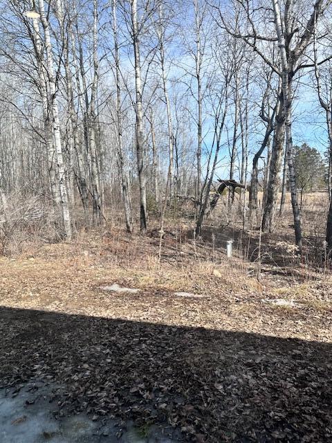 28440 Grand Trailhead Dr Property Photo 18