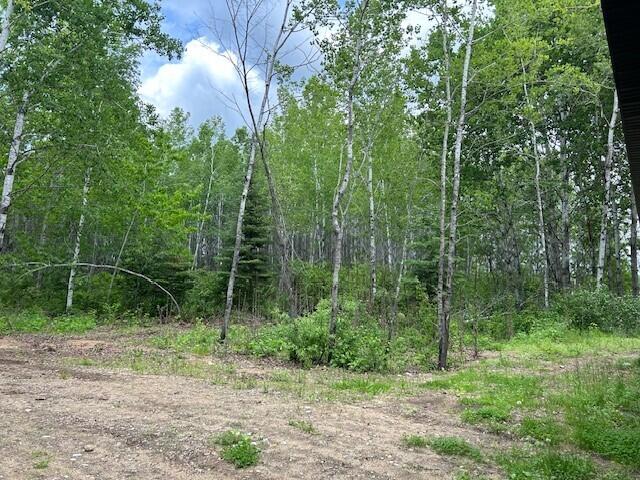 28440 Grand Trailhead Dr Property Photo 20