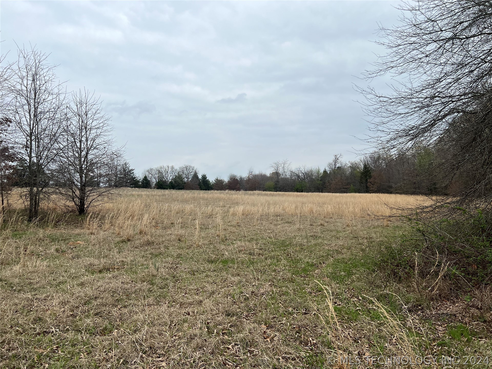 Blevins Road Property Photo 4