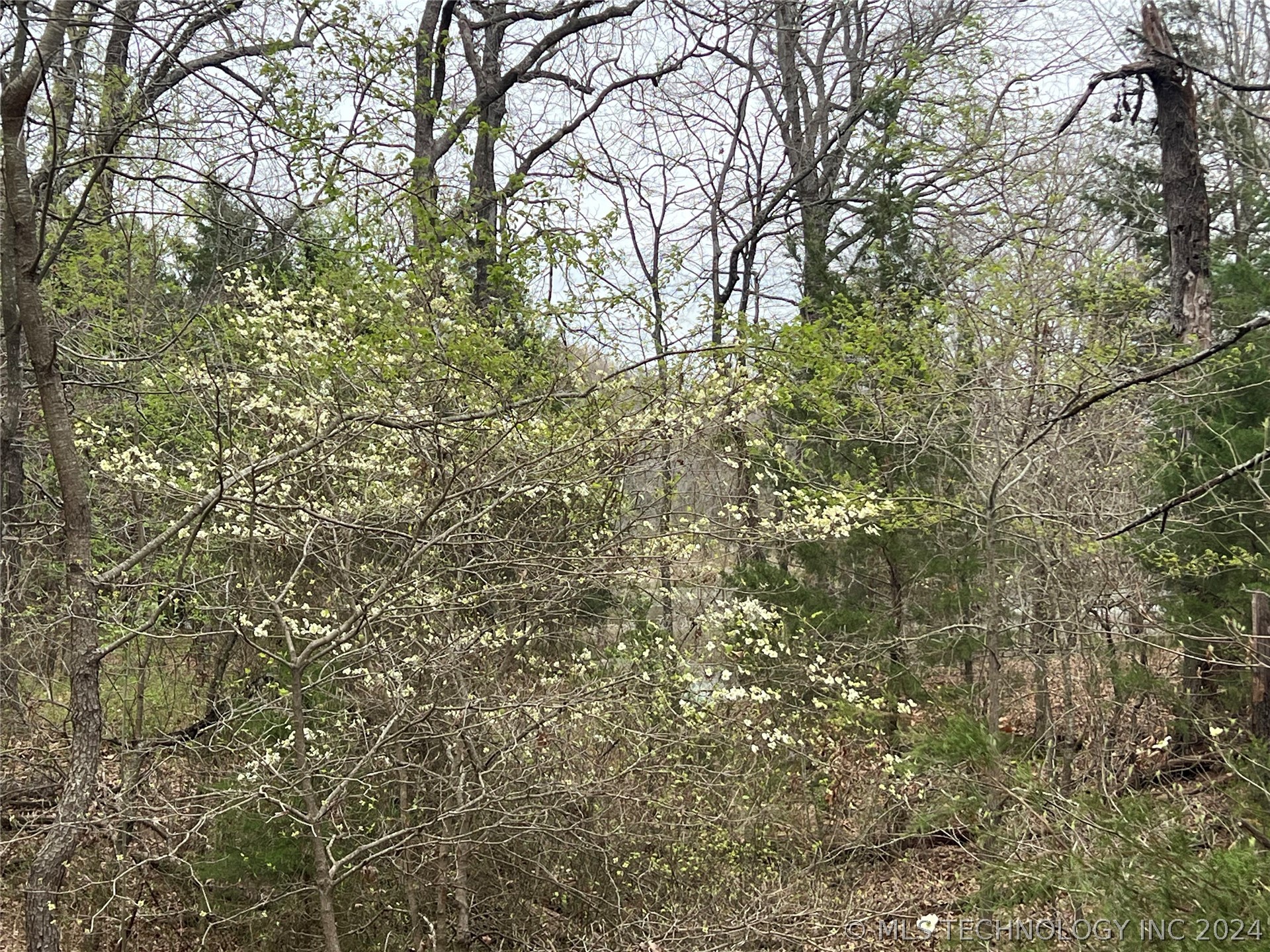 Blevins Road Property Photo 5