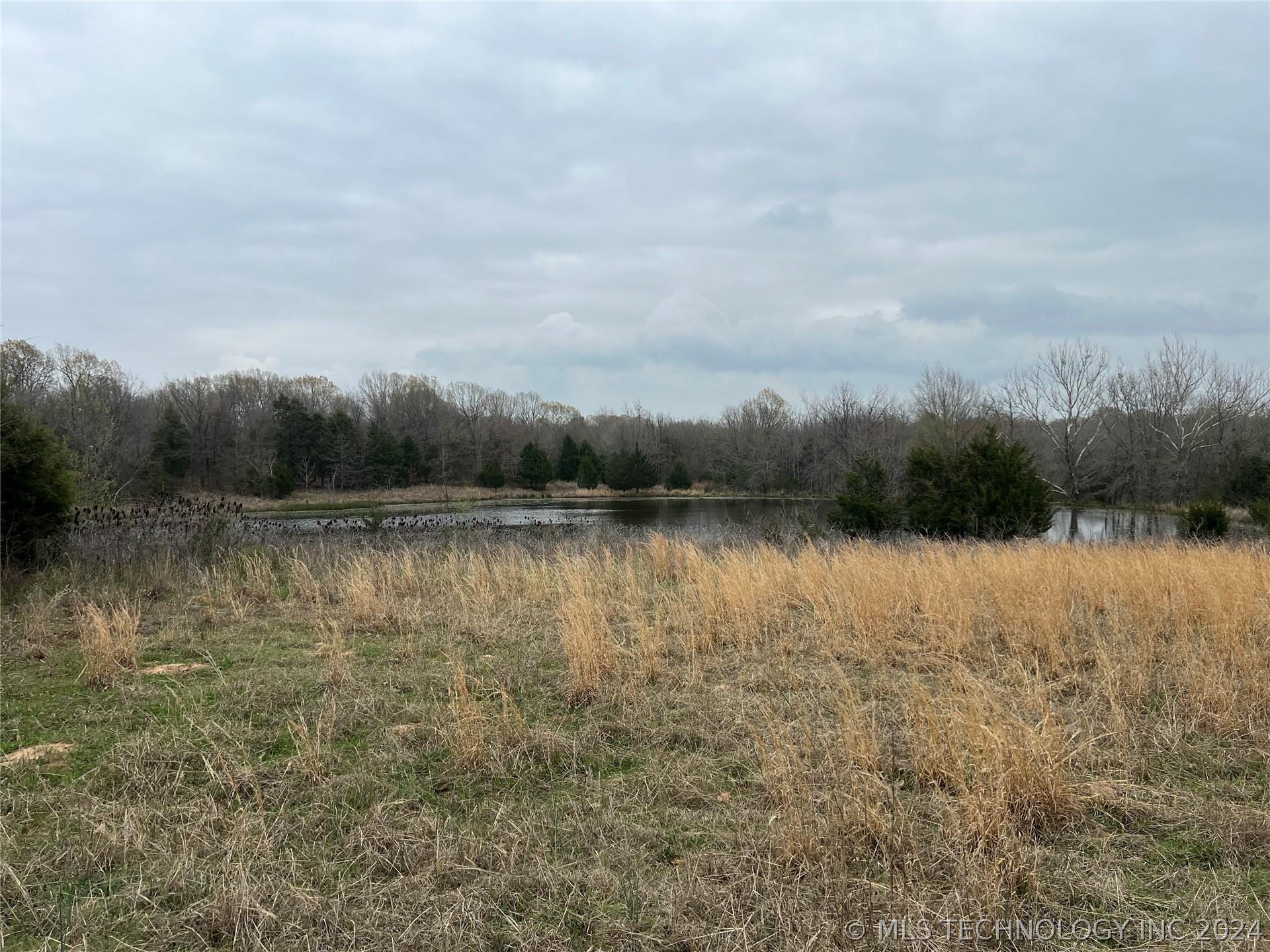 Blevins Road Property Photo 6