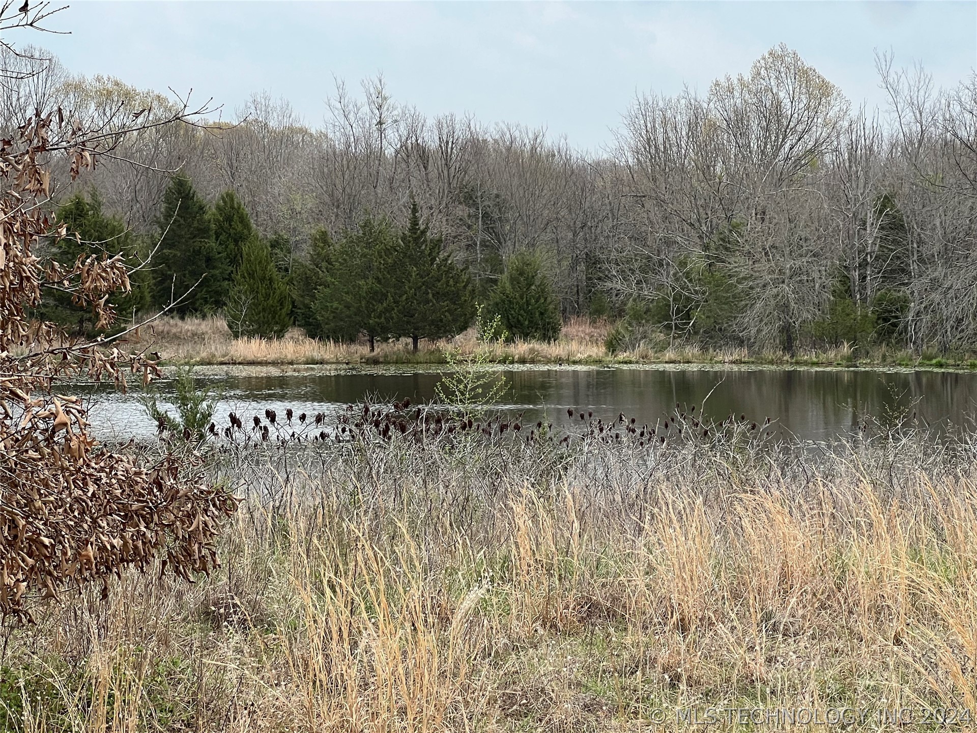 Blevins Road Property Photo 8