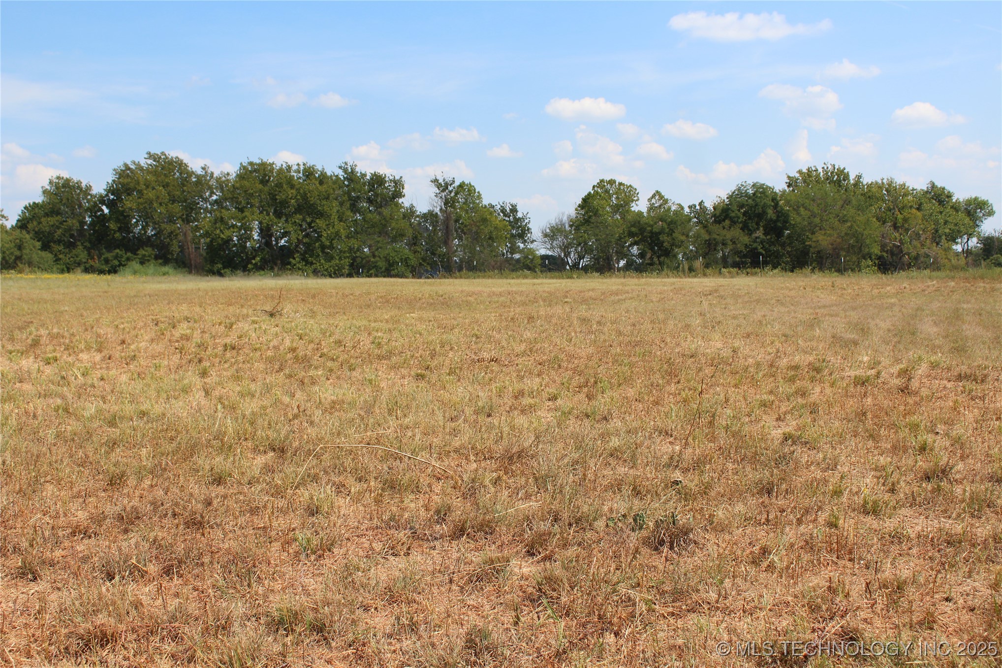 88 Sunshine Lane Property Photo 4