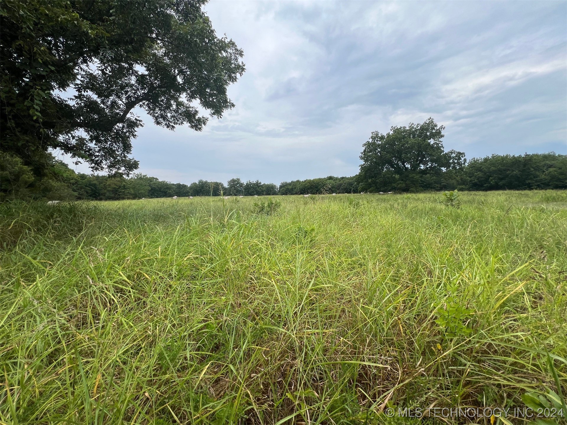 36118 E 114 Property Photo 21