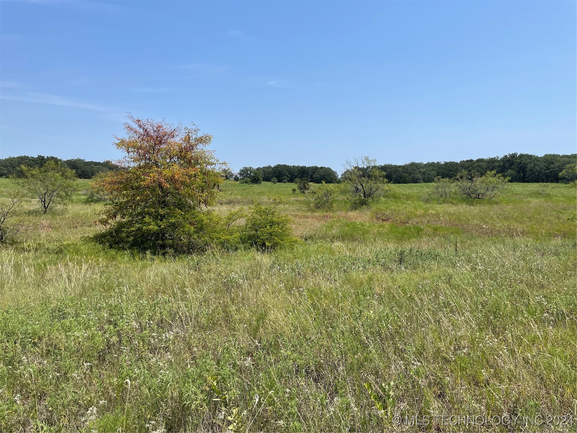 10 El Dorado Road Property Photo 5