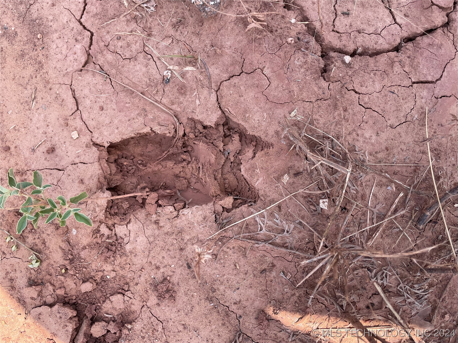 10 El Dorado Road Property Photo 6