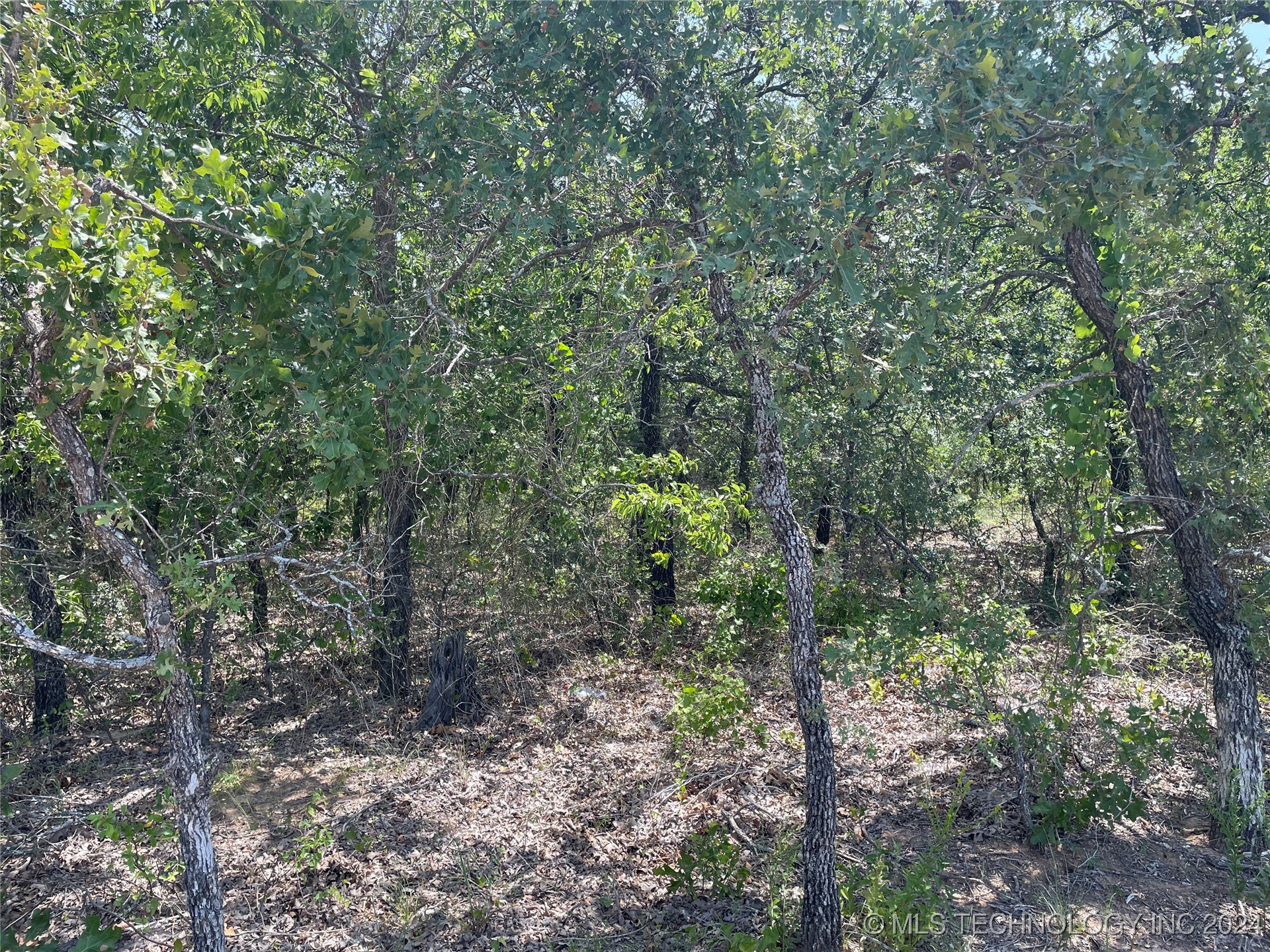 10 El Dorado Road Property Photo 9