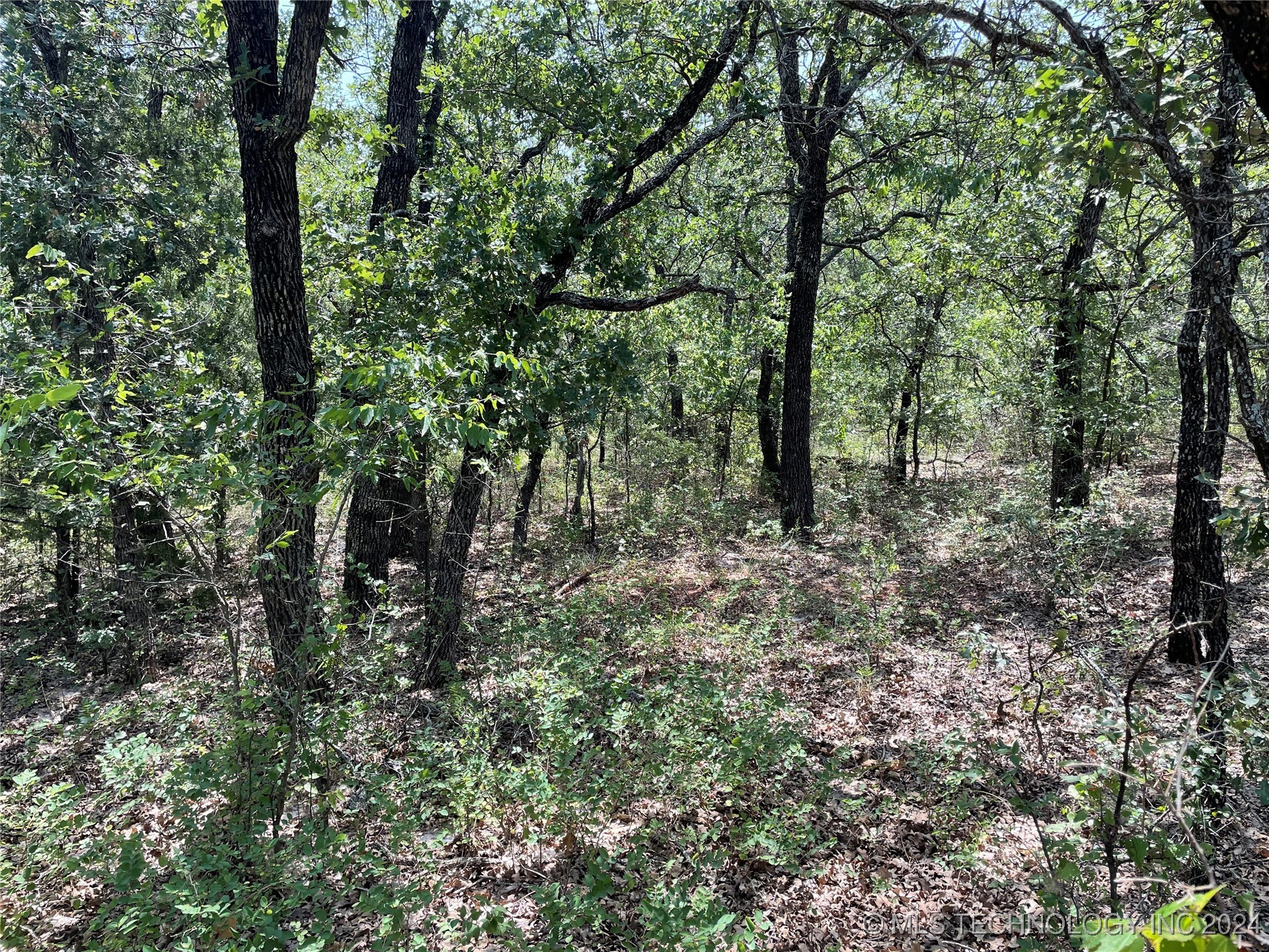 10 El Dorado Road Property Photo 10