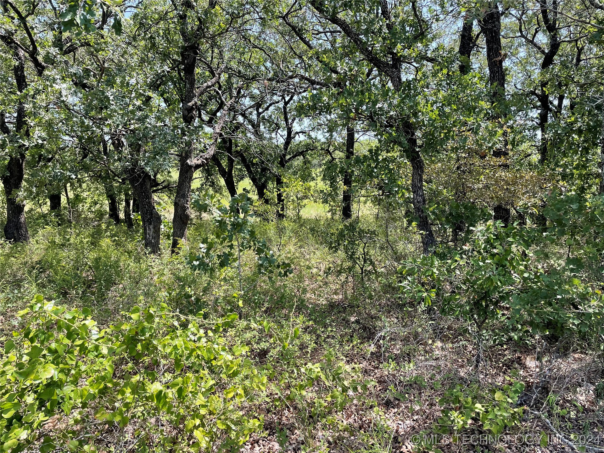 10 El Dorado Road Property Photo 12