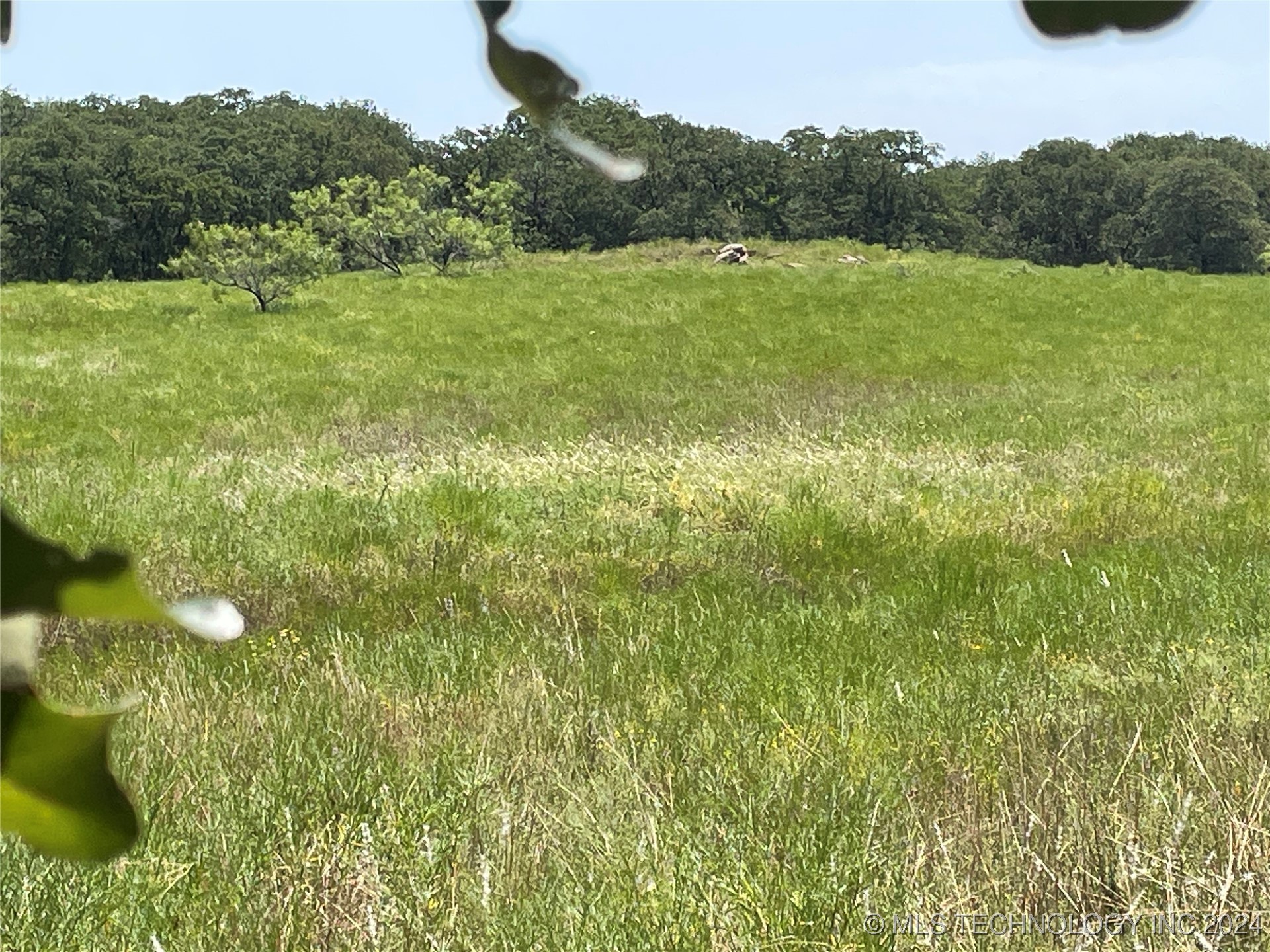 10 El Dorado Road Property Photo 16