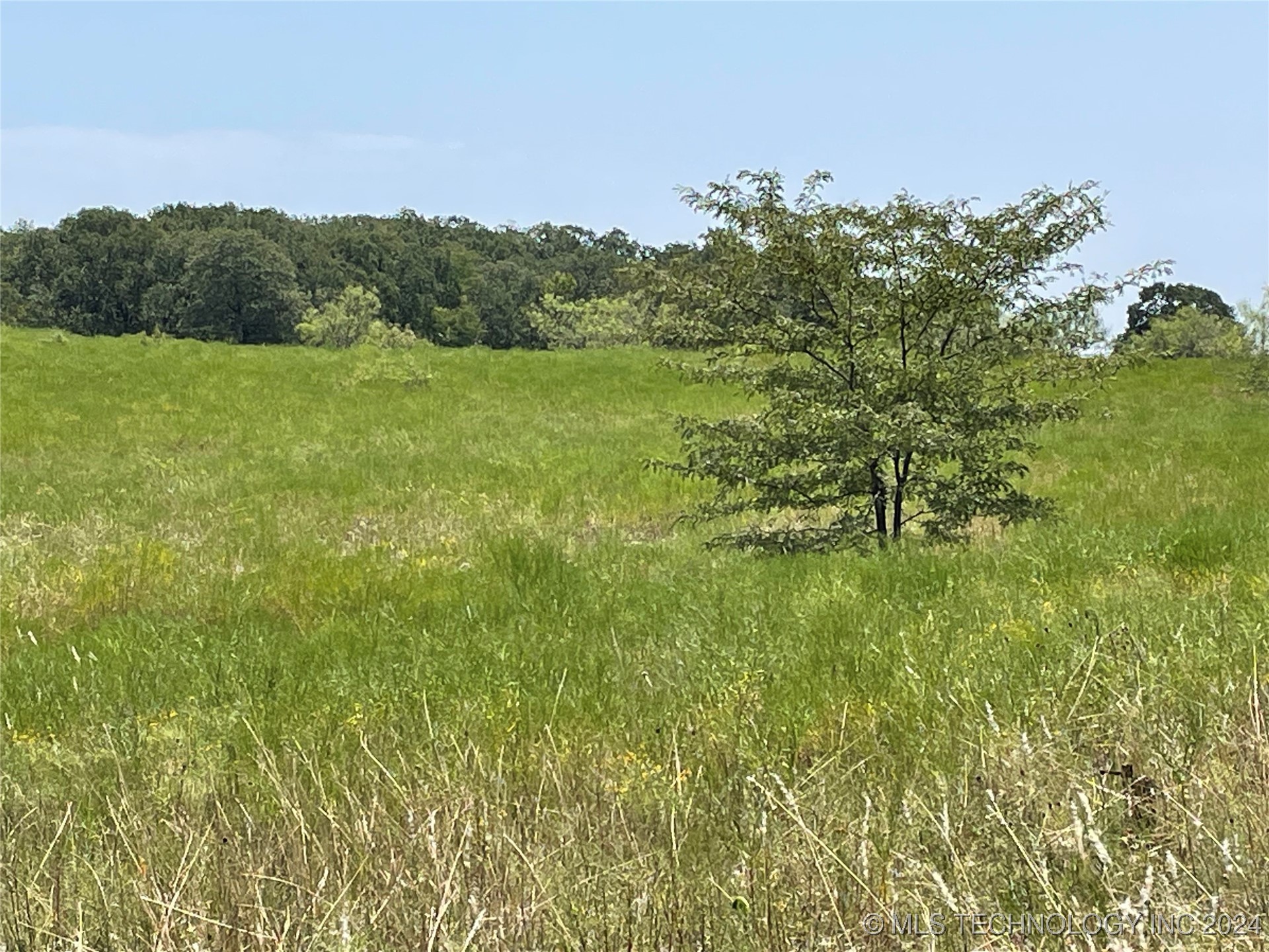 10 El Dorado Road Property Photo 17