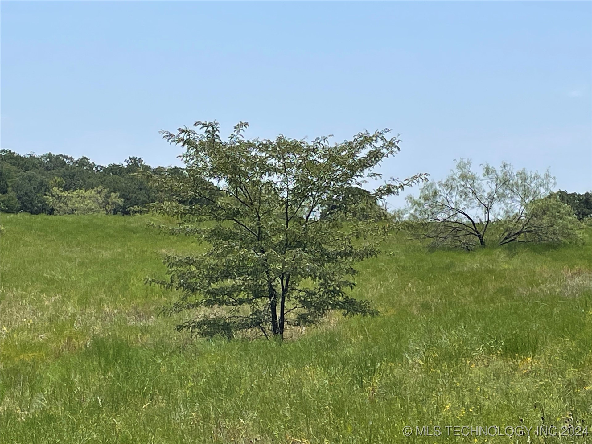 10 El Dorado Road Property Photo 20