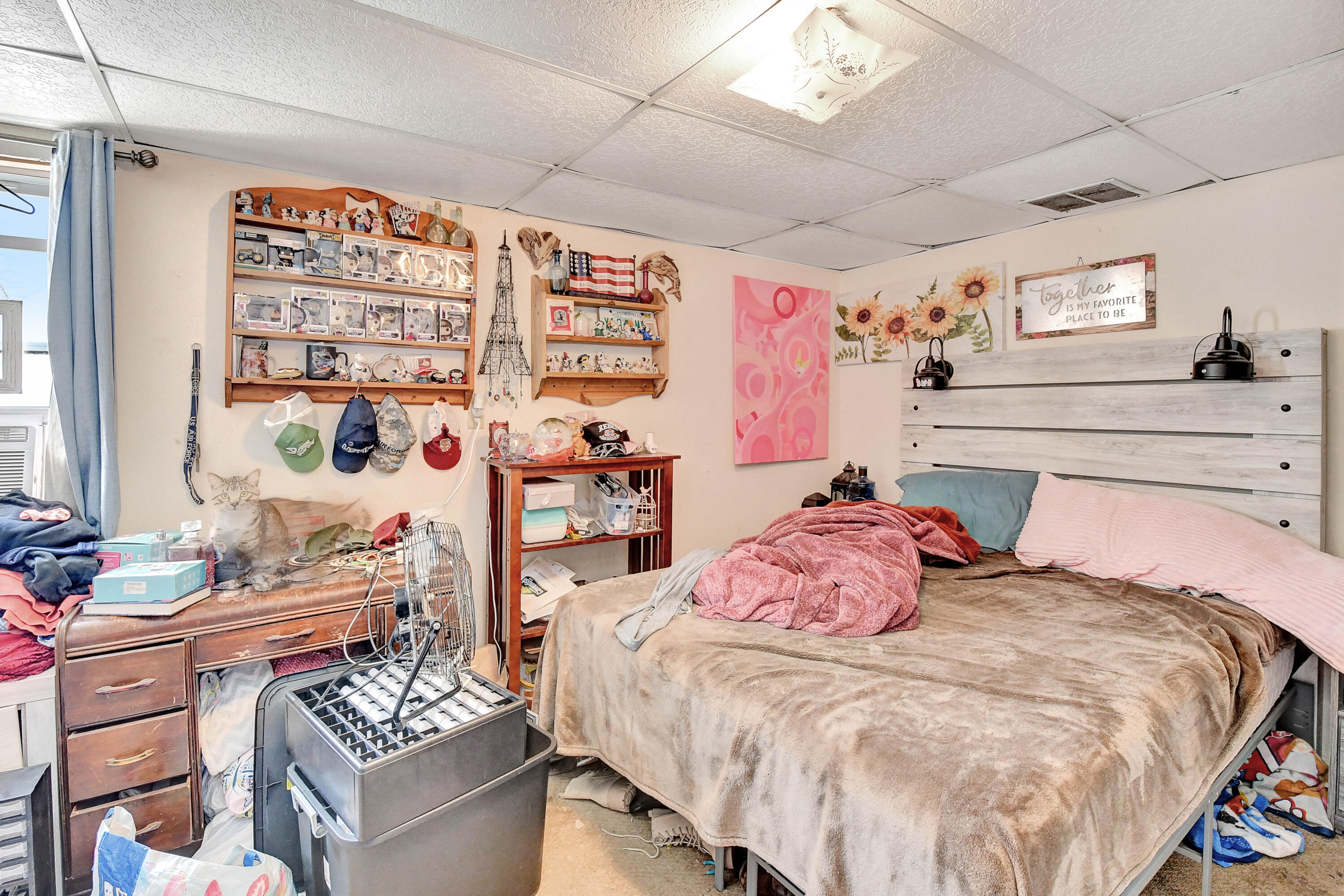 264 College St Se Property Photo 42