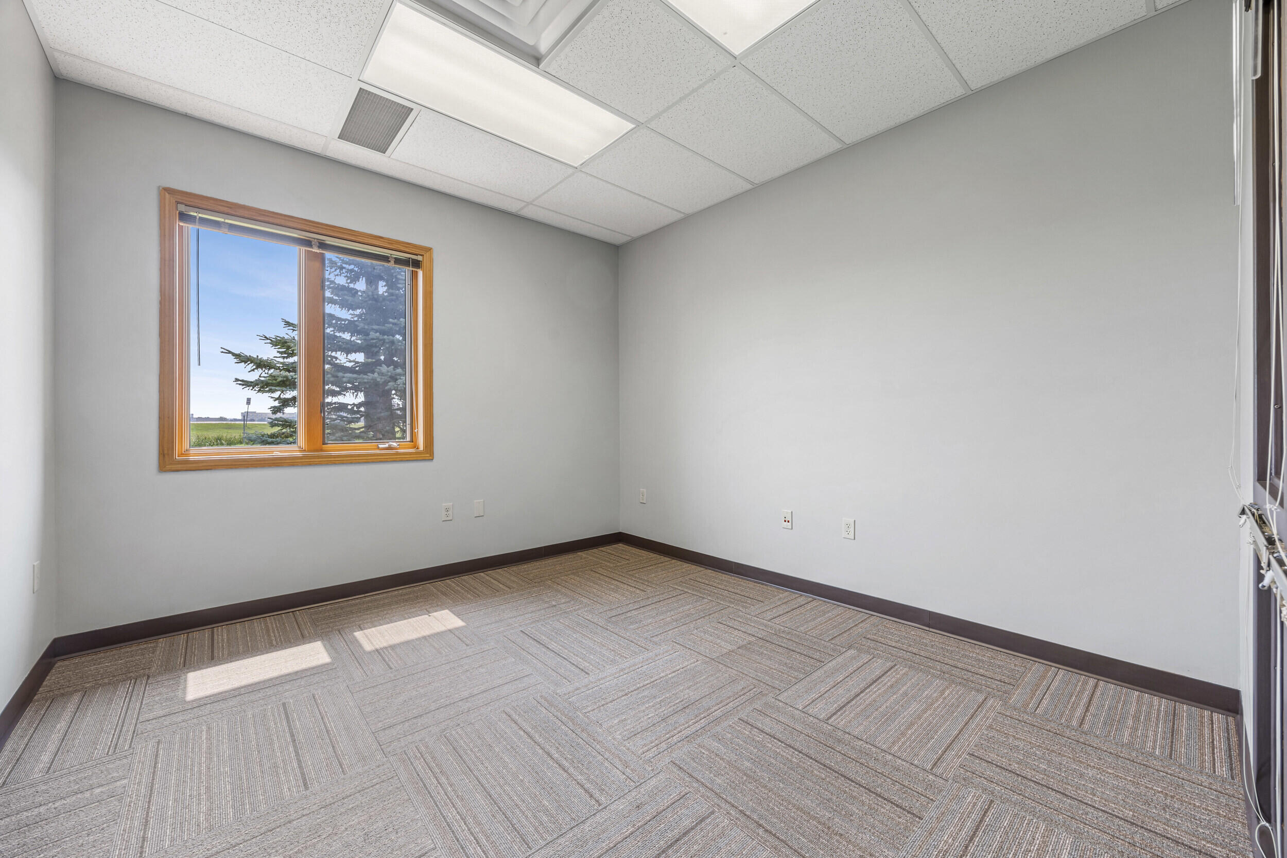 4520 19th Avenue S Property Photo 6