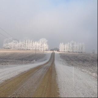 24496 80th Avenue N Property Photo 3