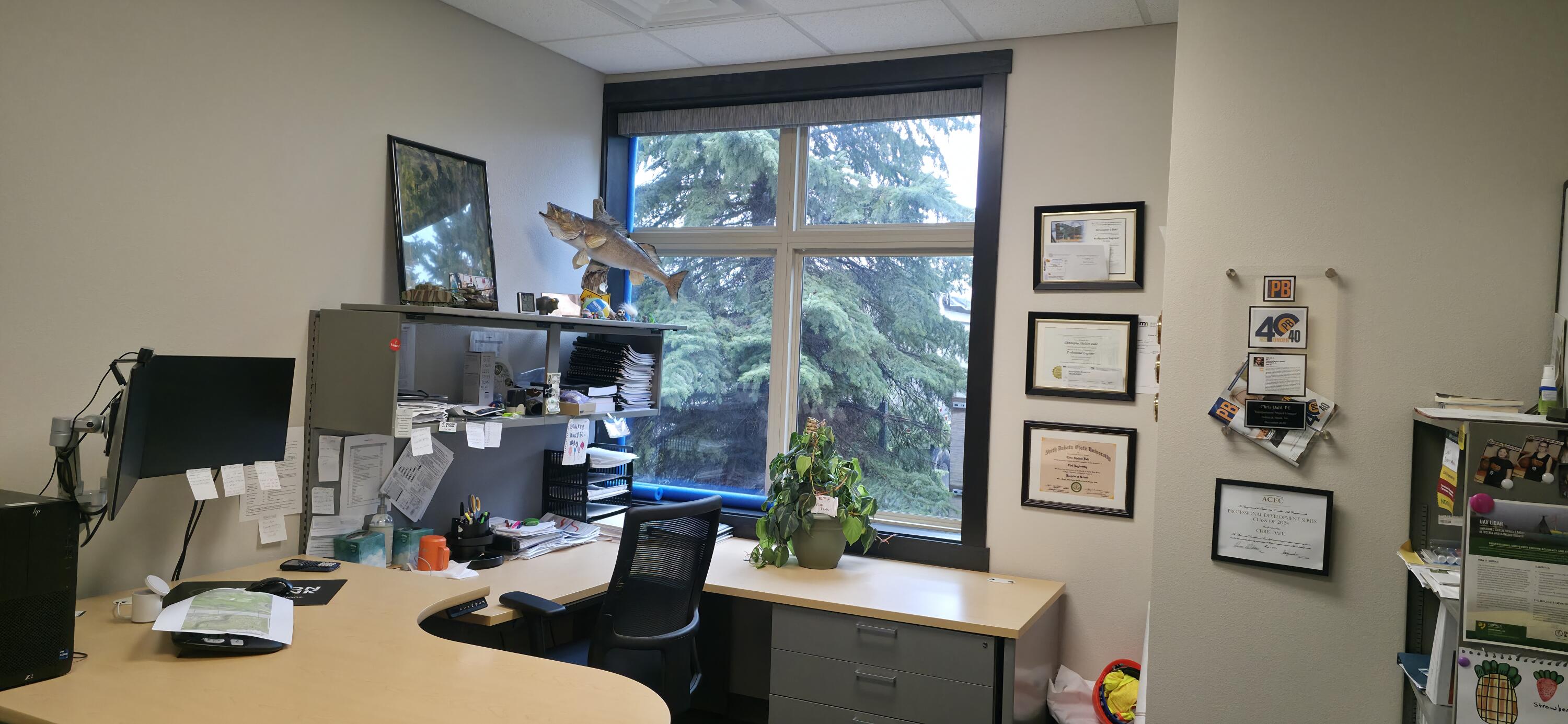 3168 41st Street S Property Photo 2