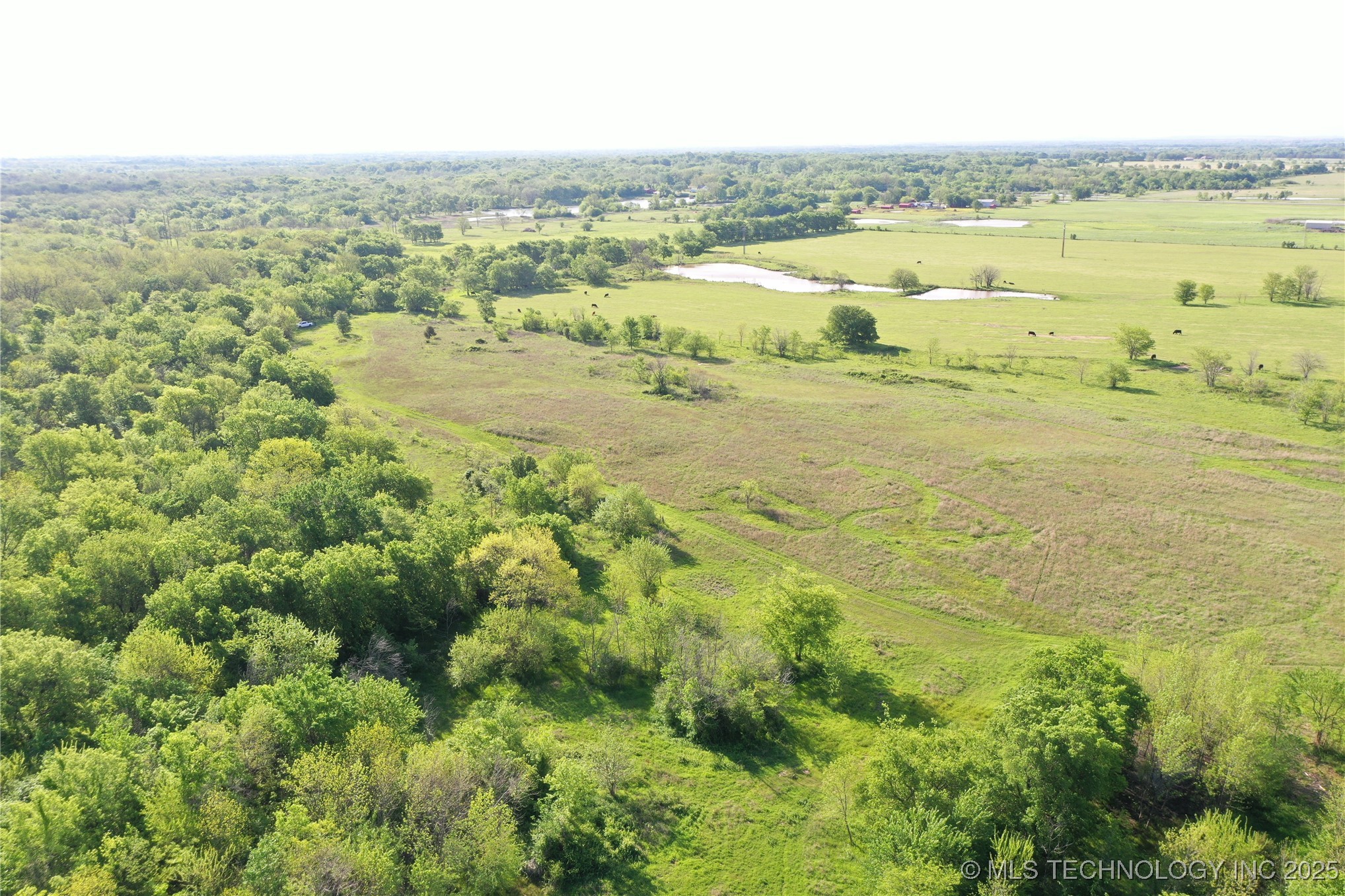 7500 Twin Hills Road Property Photo 14