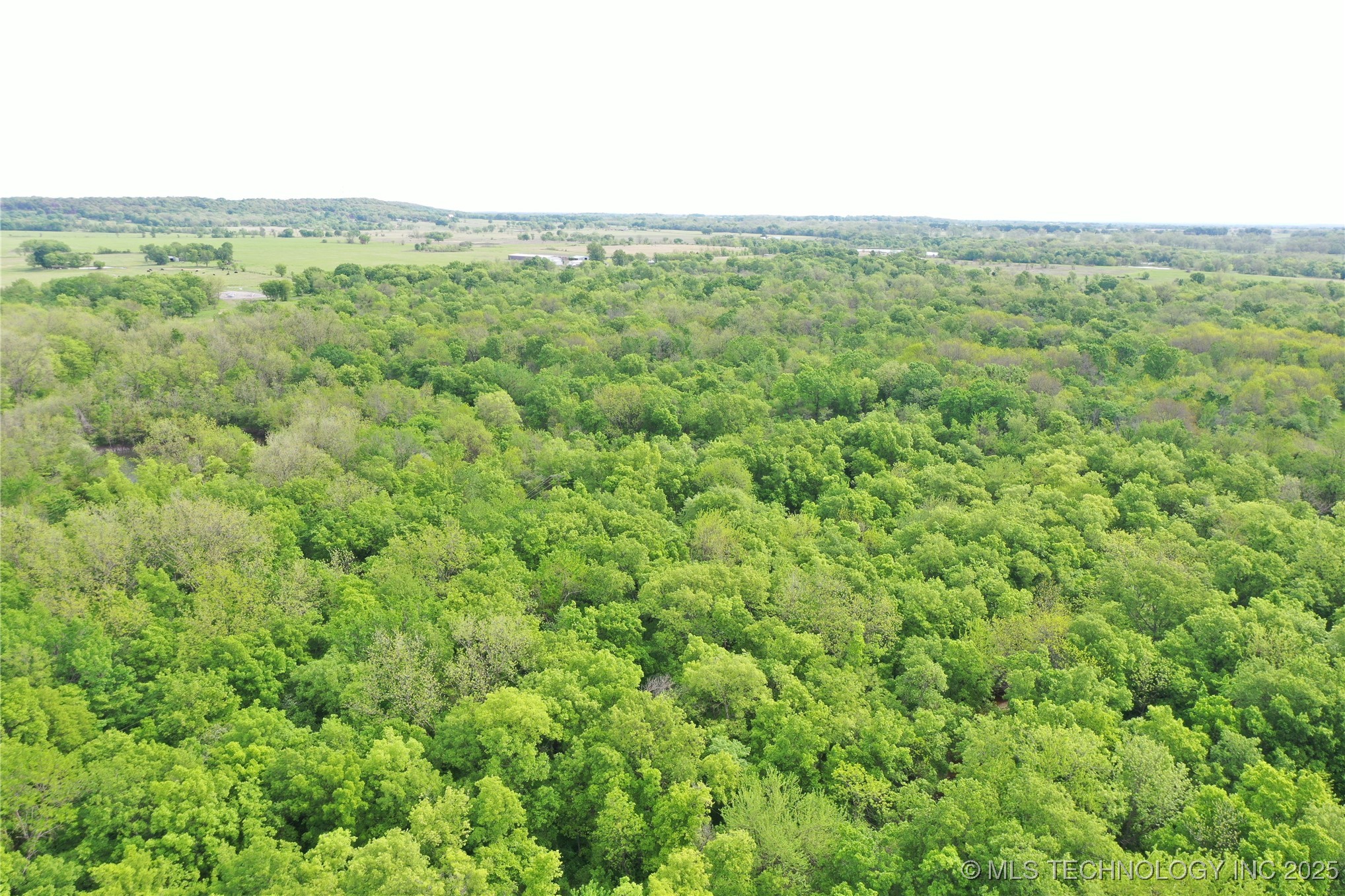 7500 Twin Hills Road Property Photo 24