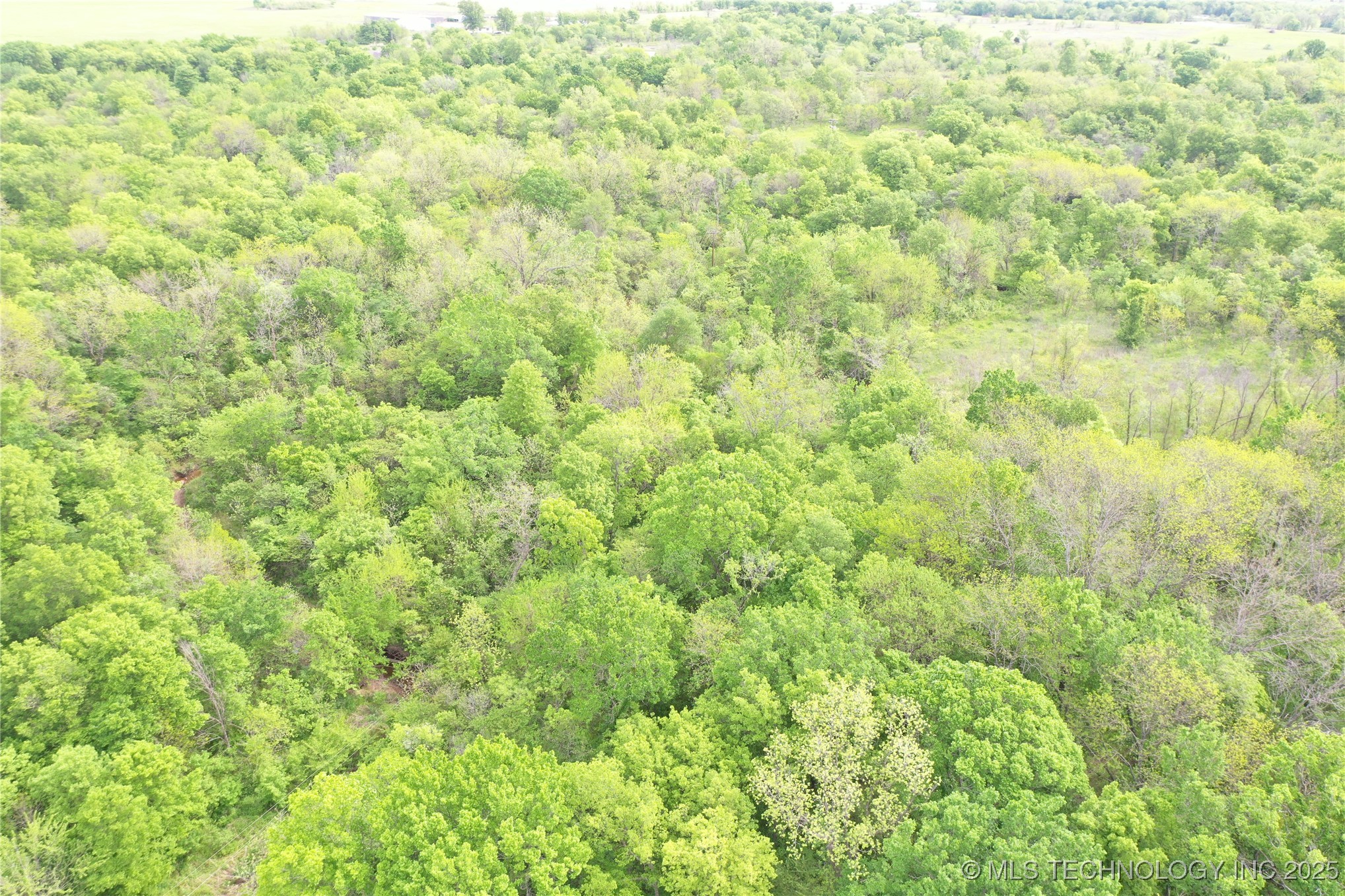 7500 Twin Hills Road Property Photo 27