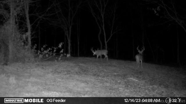 7500 Twin Hills Road Property Photo 29