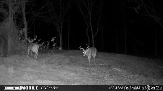 7500 Twin Hills Road Property Photo 30