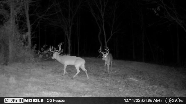 7500 Twin Hills Road Property Photo 31