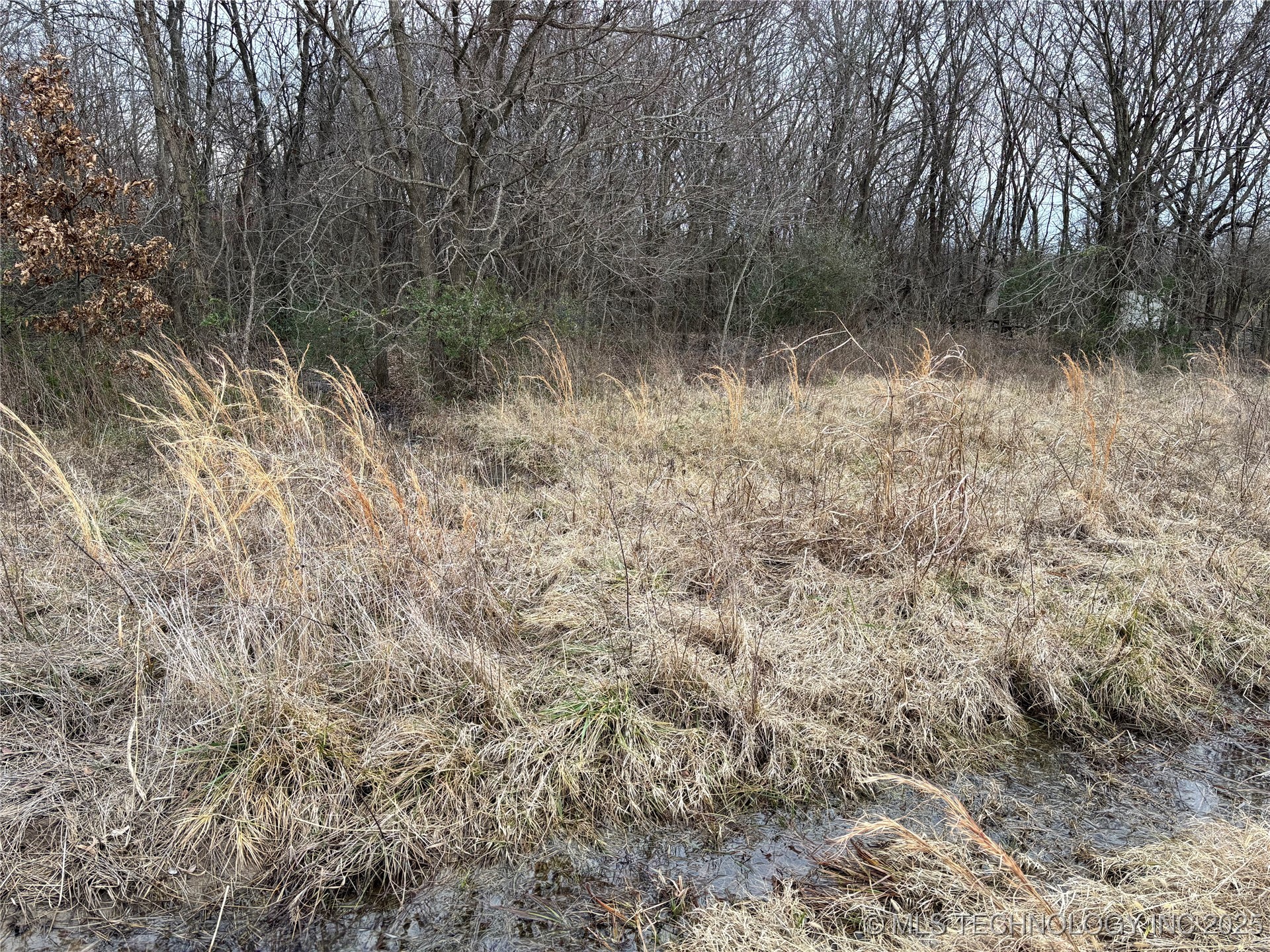 65th Property Photo 6