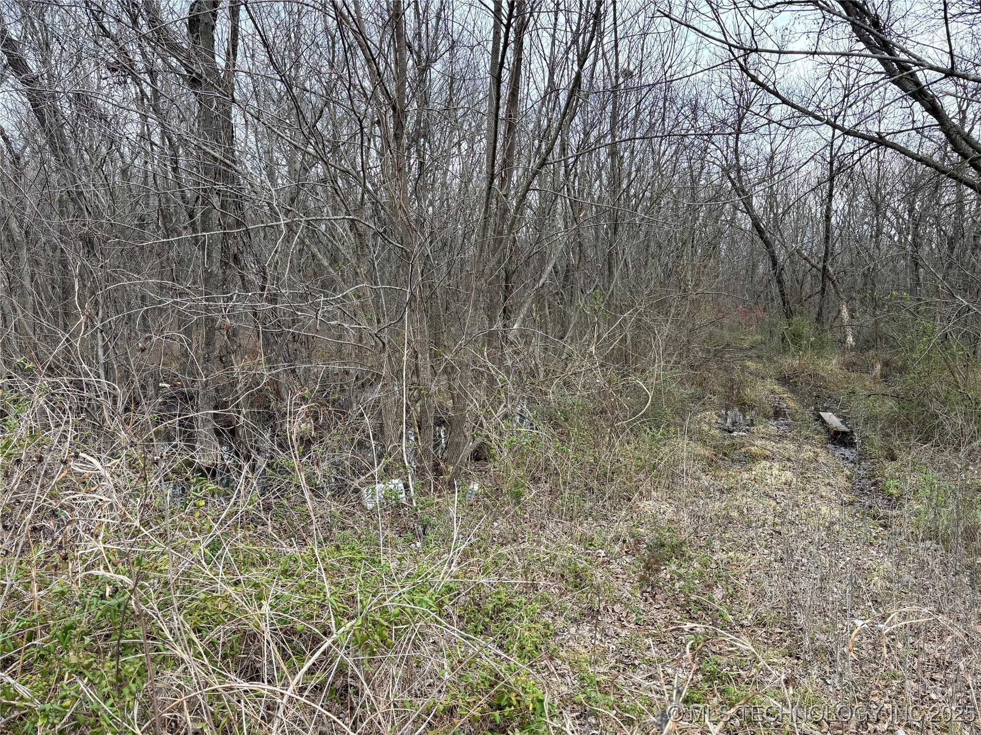 65th Property Photo 7