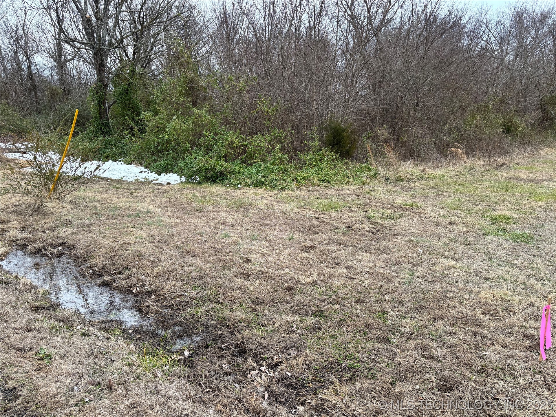 65th Property Photo 8