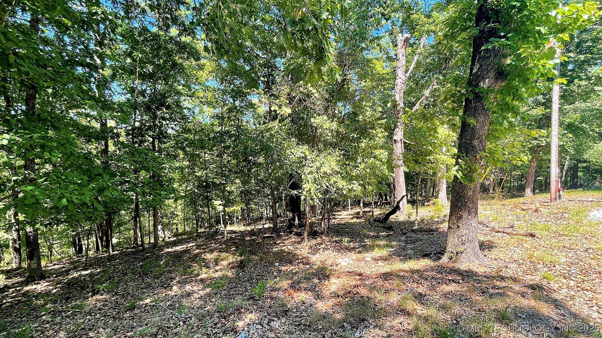 142 Dogwood Circle Property Photo 5