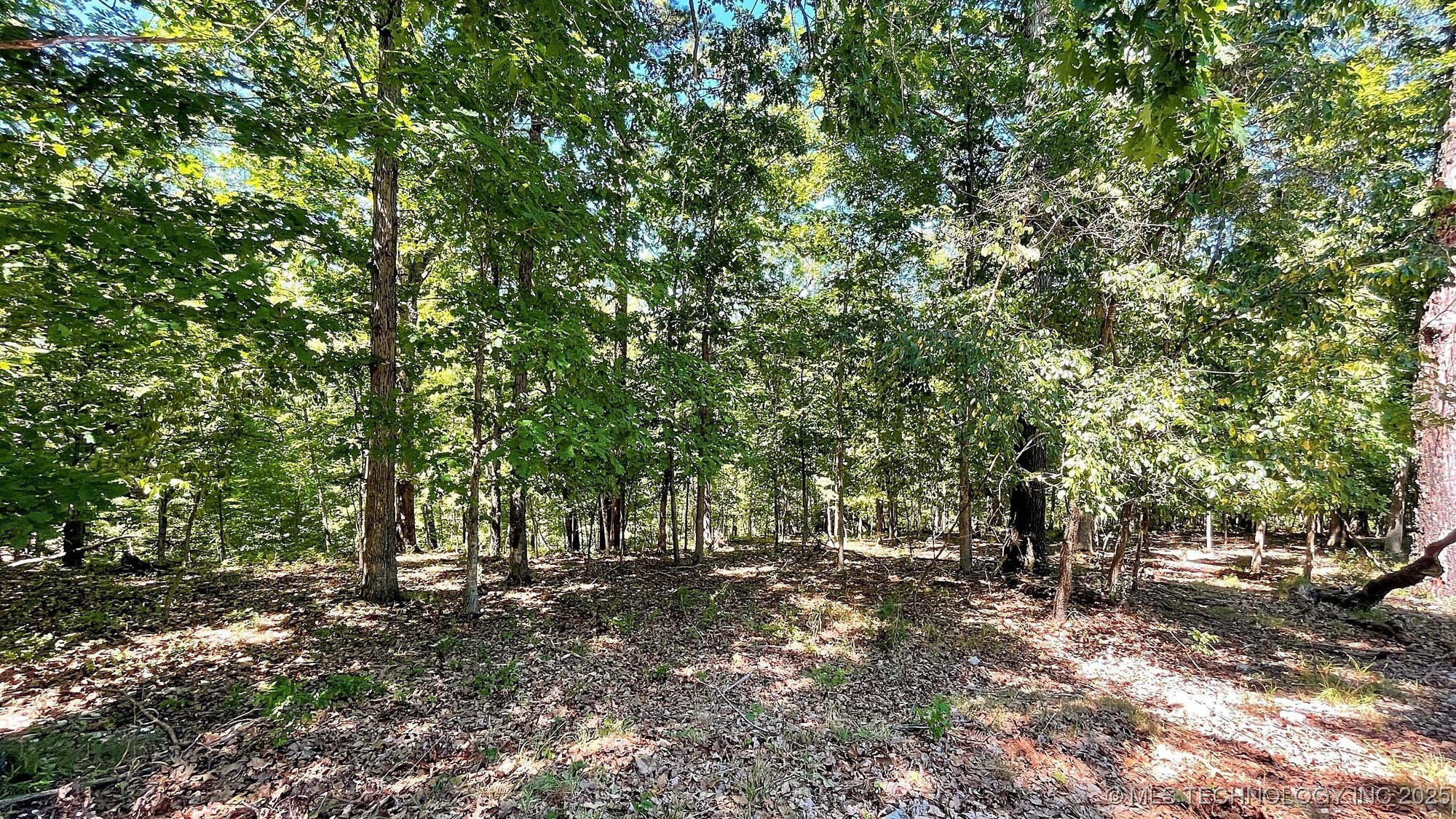 142 Dogwood Circle Property Photo 6