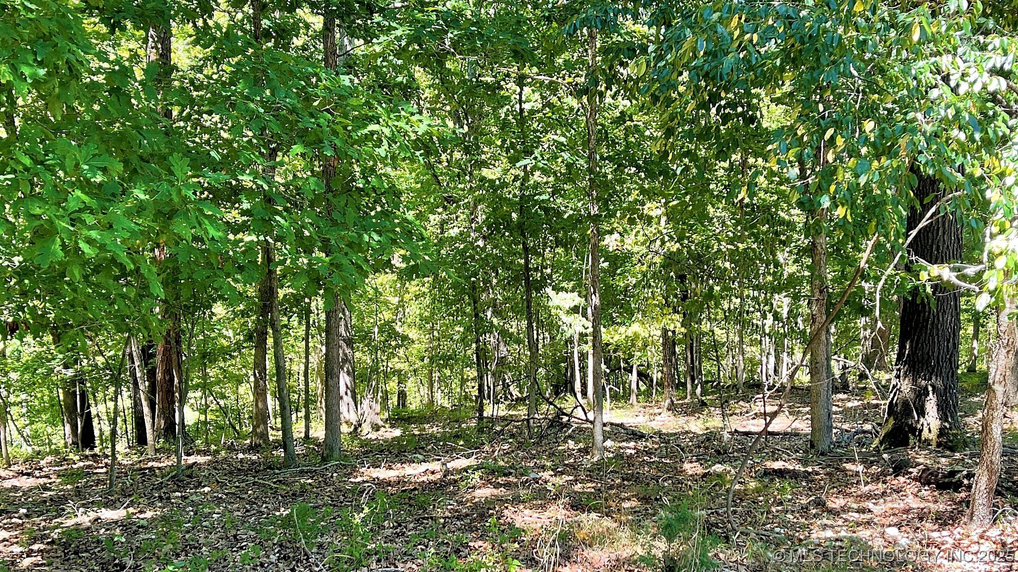 142 Dogwood Circle Property Photo 7