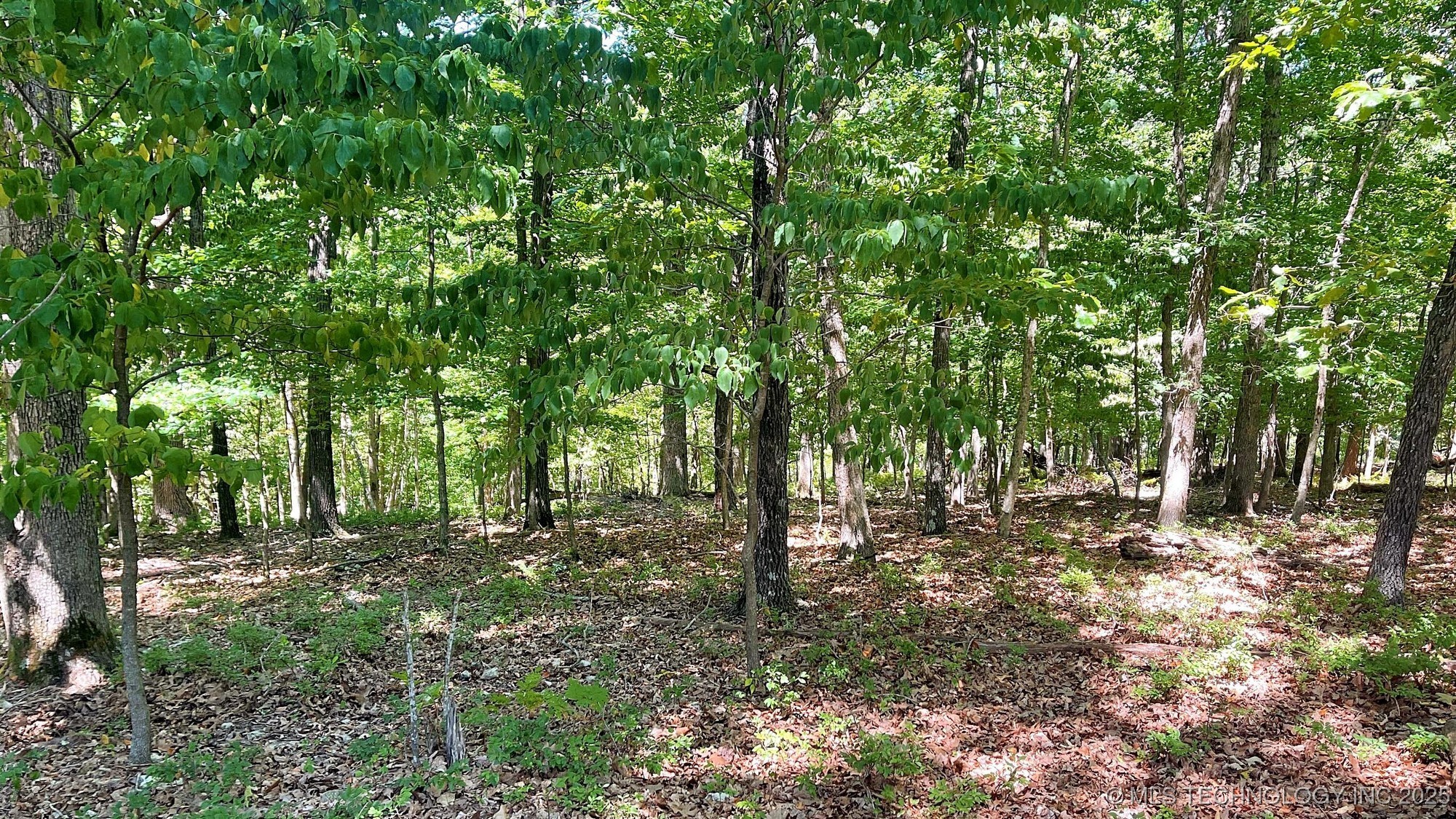 142 Dogwood Circle Property Photo 12