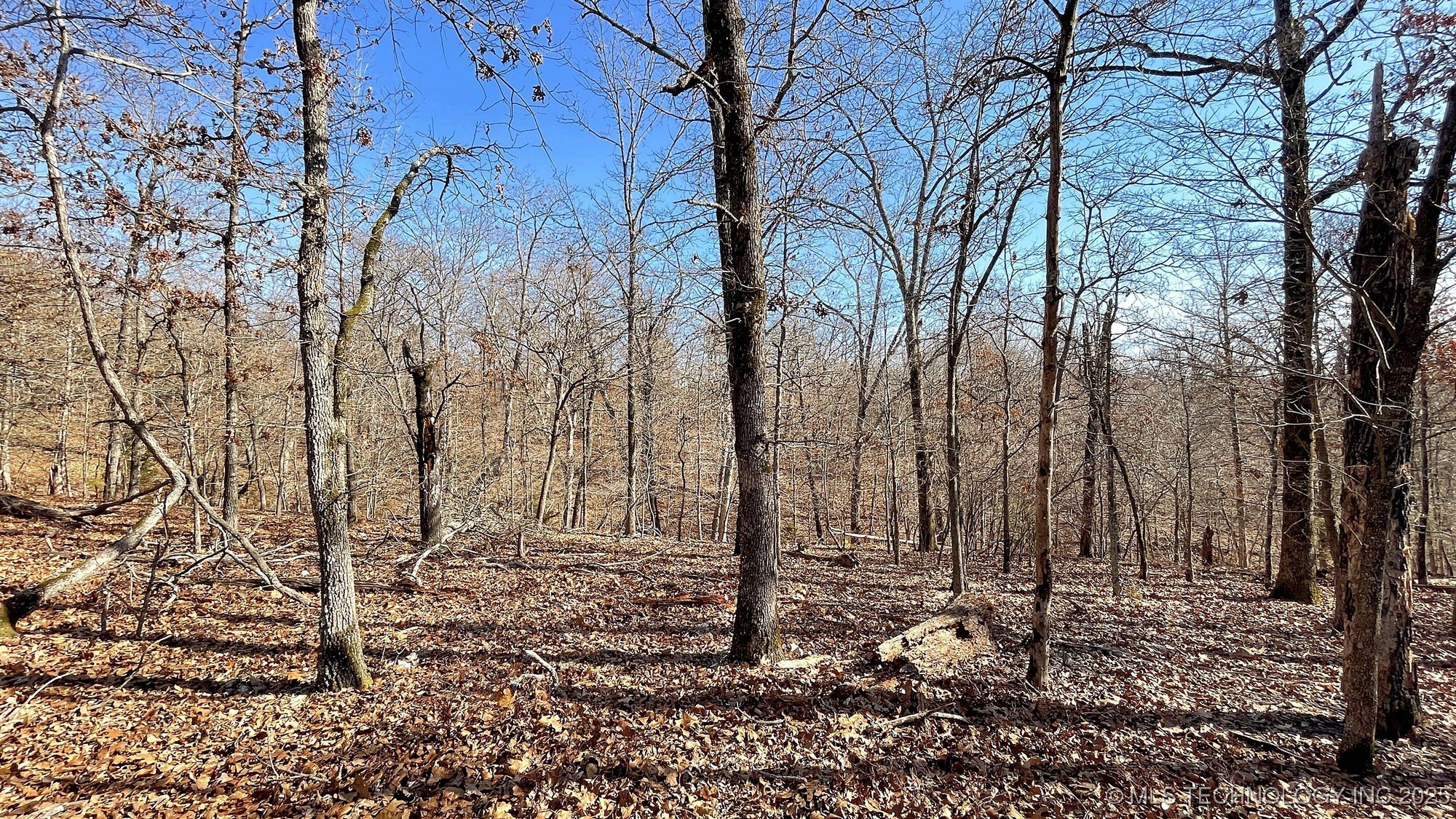 2361 Overlook Trace Property Photo 5