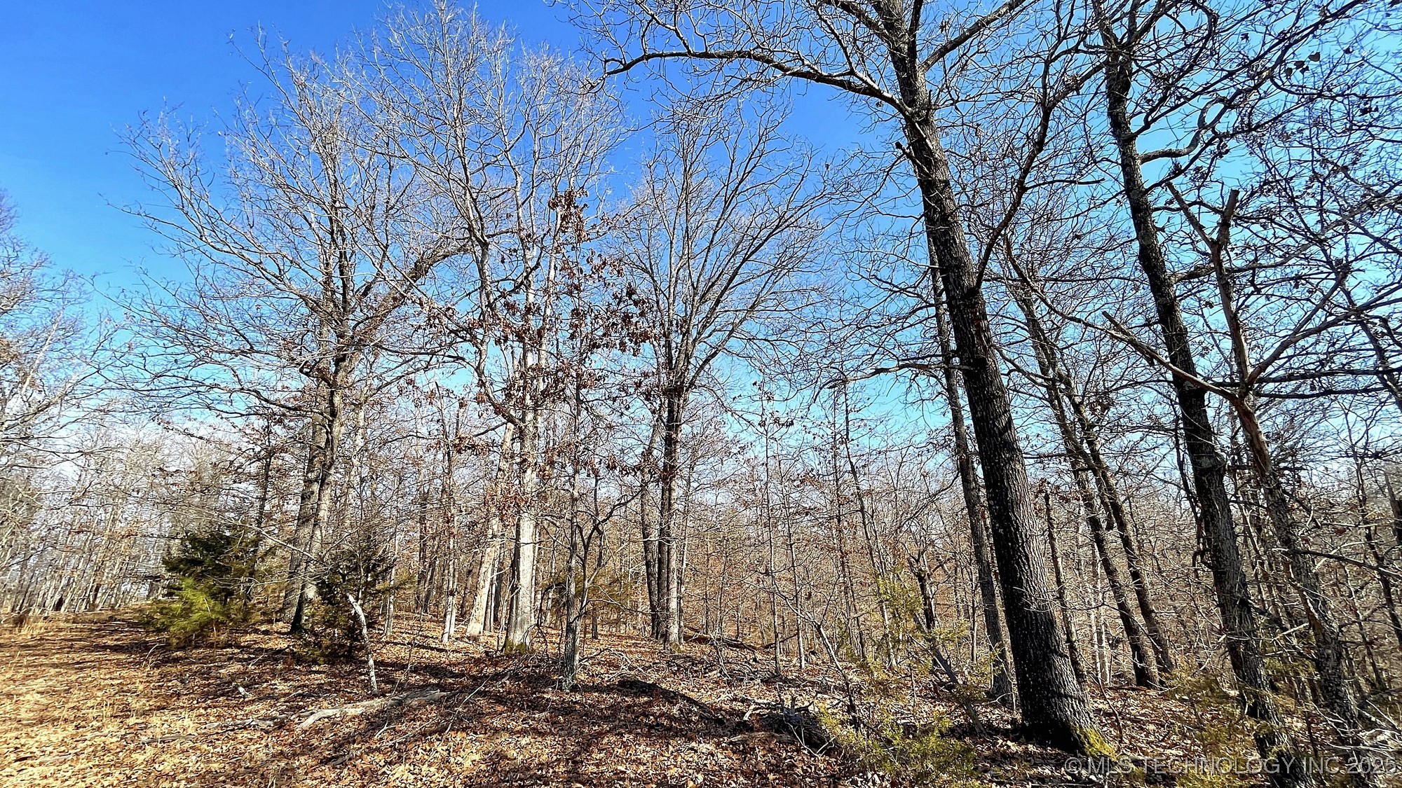 2361 Overlook Trace Property Photo 7