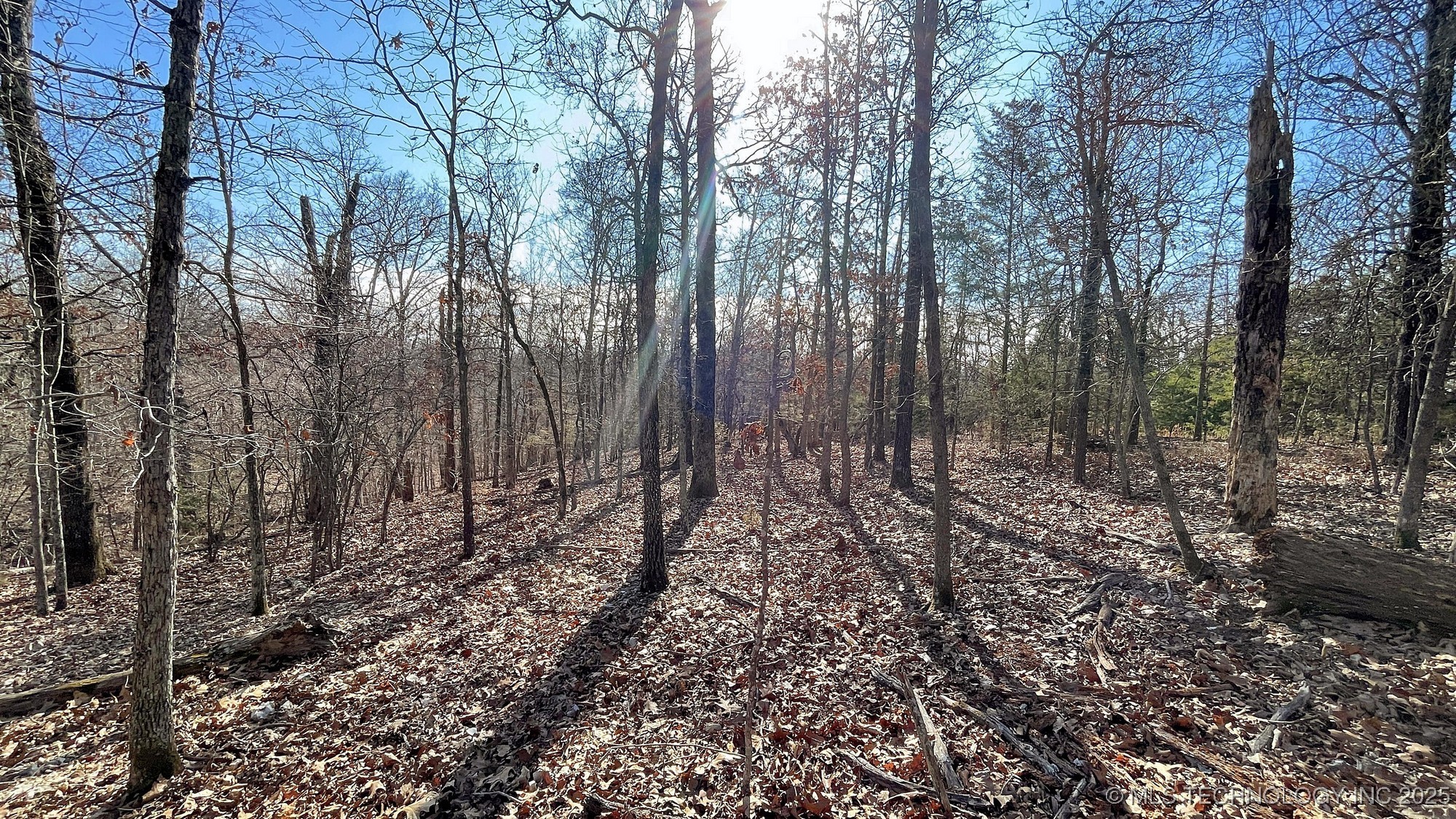 2361 Overlook Trace Property Photo 9