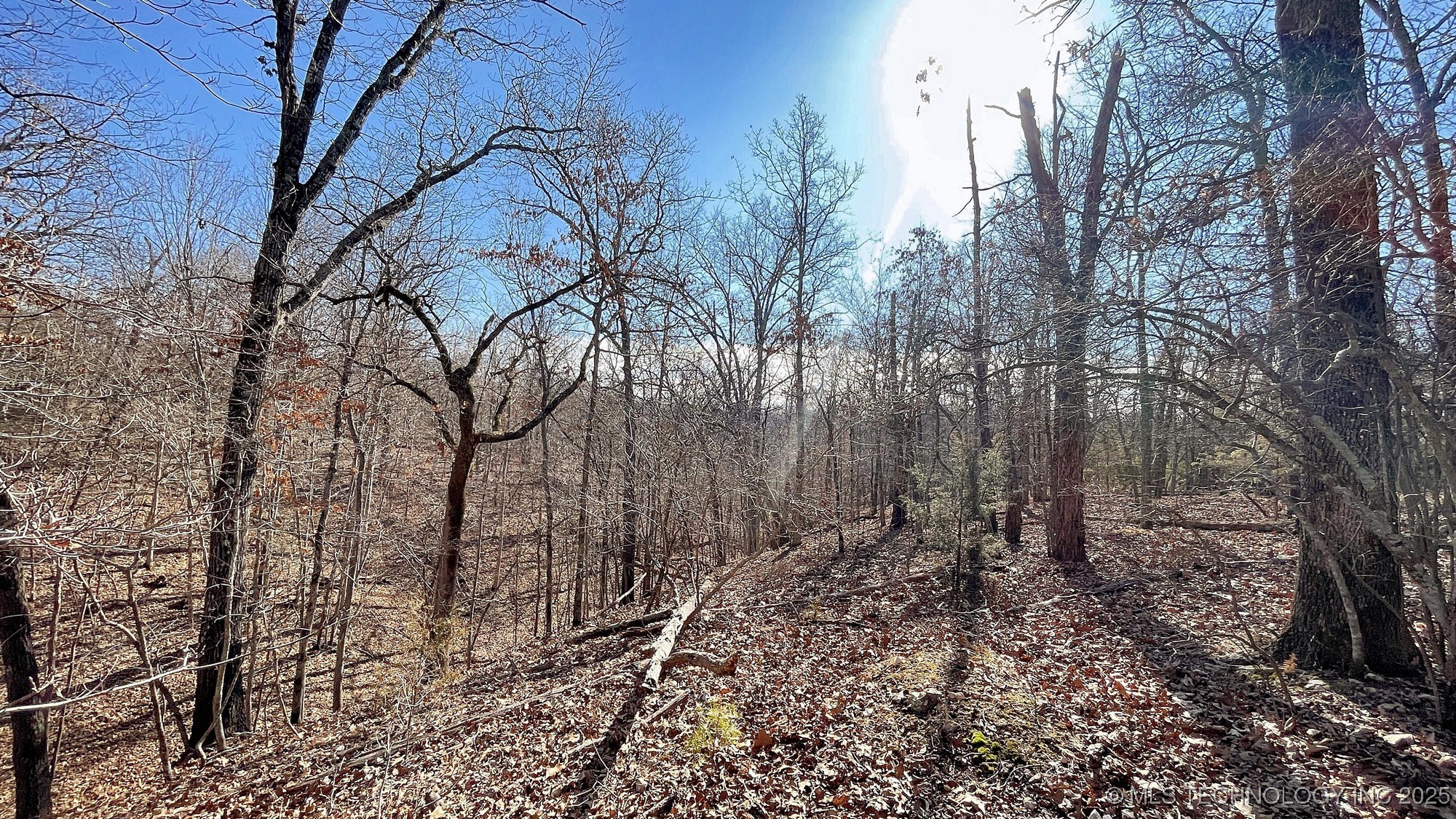 2361 Overlook Trace Property Photo 13