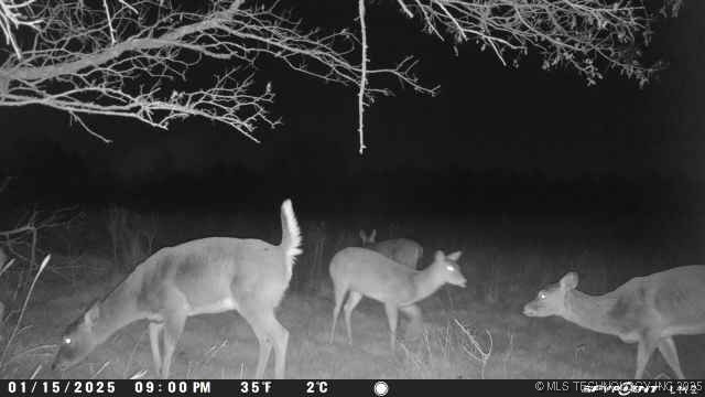 0000 Platter Property Photo 19