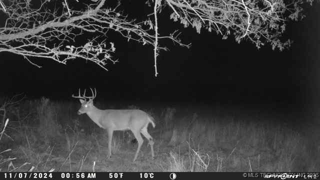 0000 Platter Property Photo 20