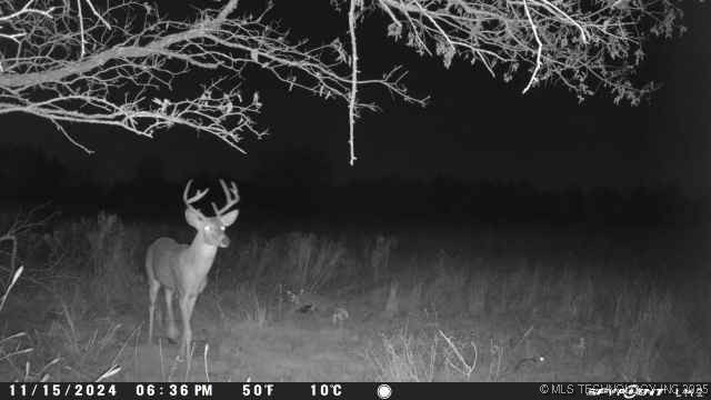 0000 Platter Property Photo 21